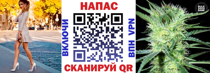 Бошки марихуана OG Kush  hydra сайт  дарк нет Telegram  закладка  Сертолово 